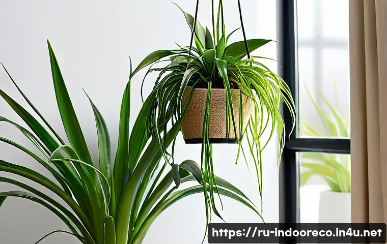 실내 공기 오염의 원인 관련 이미지 2