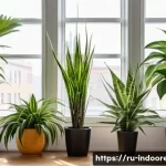 식물로 실내 공기 정화 - A cozy modern living room in a Russian apartment with a variety of air-purifying houseplants arrange...