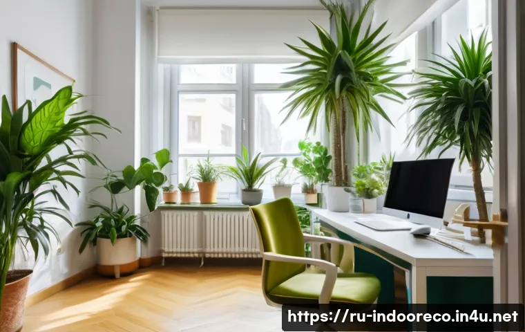 식물로 실내 공기 정화 관련 이미지 1