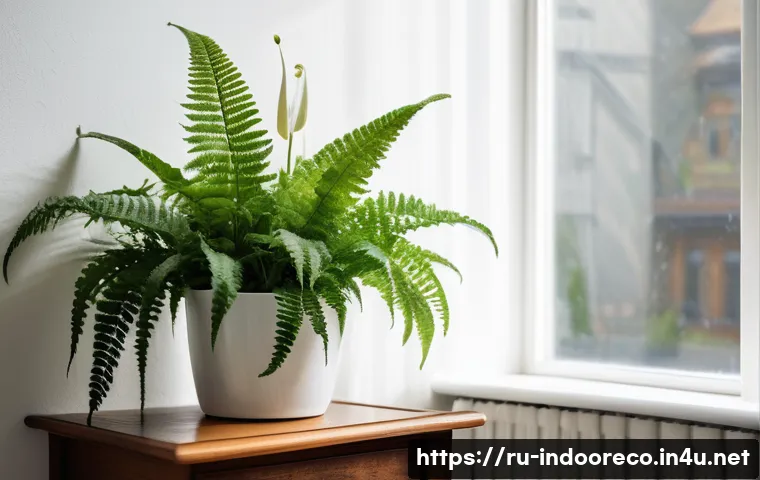 식물로 실내 공기 정화 관련 이미지 2